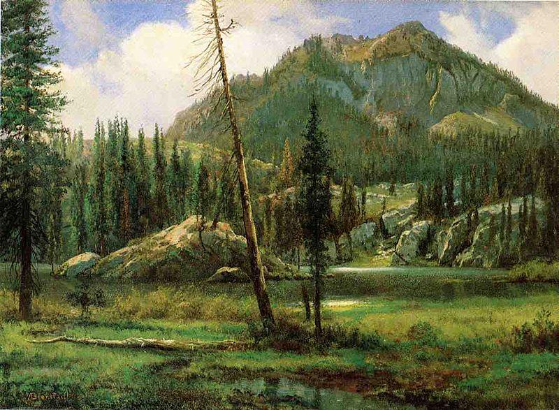 Albert Bierstadt Sierra_Nevada_Mountains France oil painting art